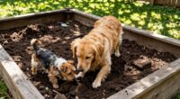 dog friendly backyard sandbox