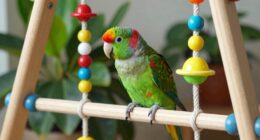 gently promote playful exploration