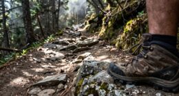 learning cessation point