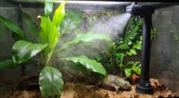 proper humidity management techniques