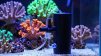 reliable reef tank dosing