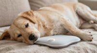 safe heating for dogs