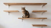 shelving for cat confidence