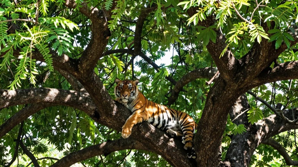 tall sturdy trees promote natural behaviors