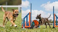 training focus and balance