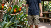 10 Best Outdoor Aviaries Walk In in 2026