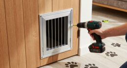 10 Best Smart Dog Doors for Large Dogs in 2026