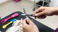 12 Best Clipper Blade Sets For Doodles In 2026