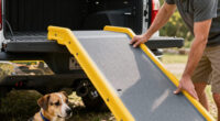 12 Best Folding Pet Ramps for Trucks in 2026