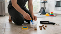 12 Best Scent Detection Starter Kits For Dogs In 2026