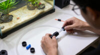 14 Best Canister Filters for Turtle Tanks in 2026