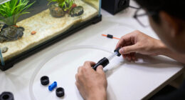 14 Best Canister Filters for Turtle Tanks in 2026