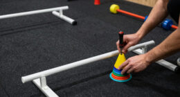 14 Best Flyball Equipment Sets in 2026 — The Complete Buyer’s Guide