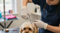 14 Best Professional Dog Grooming Shears in 2026 — The Ultimate Guide