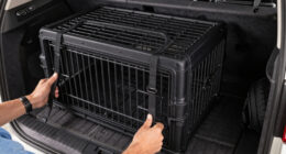 7 Best Dog Crates for German Shepherds in SUVs in 2026