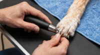 7 Best Nail Grinder Kits for Black Nails in 2026