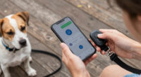 7 Best Pet GPS Trackers No Monthly Fee in 2026