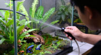7 Best Reptile Mister Systems for Dart Frogs in 2026