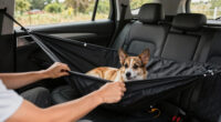 9 Best Dog Car Hammocks for SUVs in 2026