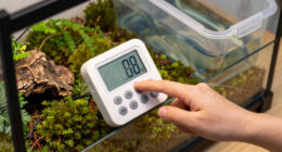 9 Best Reptile Humidity Controllers in 2026