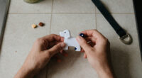 14 Best Dog Training Clickers in 2026