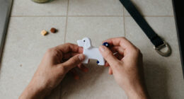 14 Best Dog Training Clickers in 2026