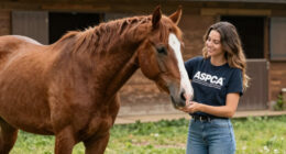 Celebrities and Influencers Help the ASPCA Celebrate Adopt a Horse Month!