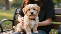 Could One of These Pawling Pups Be Your Pawfect Match?