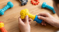 11 Best Interactive Dog Toys in 2026