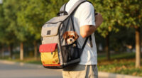 12 Best Pet Backpacks for Walking in 2026