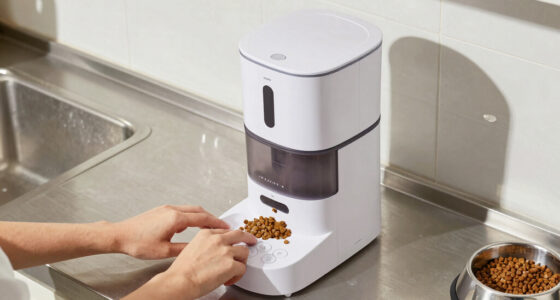 15 Best Automatic Pet Feeders in 2026