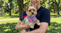 15 Best Patriotic Pet Bandanas in 2026