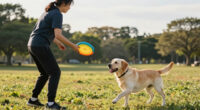 8 Best Dog Outdoor Activity Toys in 2026