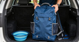 9 Best Dog Travel Gear in 2026