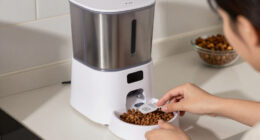 14 Best Automatic Pet Feeders in 2026