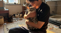 ASPCA Removes More Than 100 Cats From Unsanitary, Overcrowded Conditions