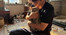 ASPCA Removes More Than 100 Cats From Unsanitary, Overcrowded Conditions