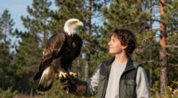 Big Bear Bald Eagles Jackie