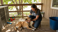 Idaho Humane Society Surges In Global Coverage