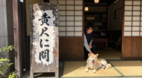〈TOKYO 映えSPOT〉西神田・日本書房 看板犬 癒やしの存在 - 東京新聞