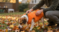 14 Best Halloween Costumes for Pets in 2027
