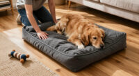 14 Best Orthopedic Dog Beds for Comfort and Support in 2027