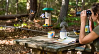 Best Gifts for a Bird Watcher: Backyard and Field Picks They'll Enjoy Using